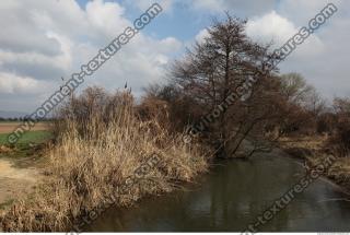 Photo Texture of Background Spring Nature